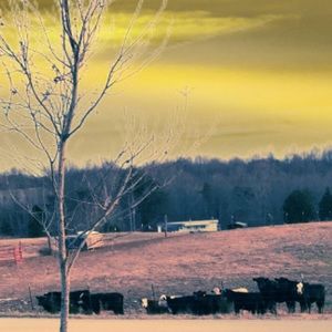 Meet your Posher, Autumn